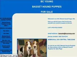 Sites similar to bcyoung.com