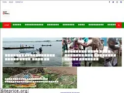 Sites similar to bdcurrentnews71.blogspot.com