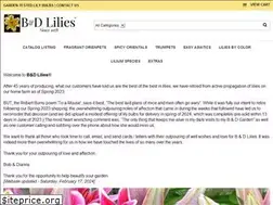 Sites similar to bdlilies.com