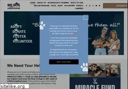 Sites similar to bdrr.org