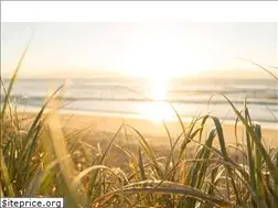 Sites similar to beachglassco.com