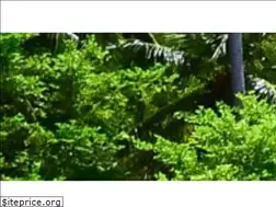 Sites similar to beachrated.com