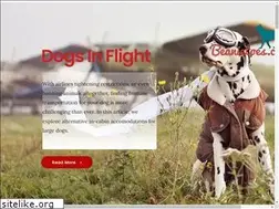 Sites similar to beanietoes.com