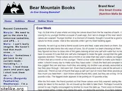 Sites similar to bearmountainbooks.com