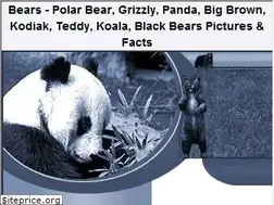 Sites similar to bearplanet.org