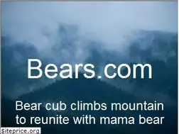 Sites similar to bears.com