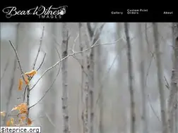 Sites similar to bearwitnessimages.com