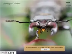 Sites similar to beastsofthebalkans.com