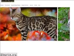 Sites similar to beautifulbengals.com