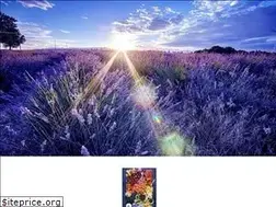 Sites similar to beautifulyou583.wordpress.com