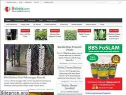 Sites similar to bebeja.com