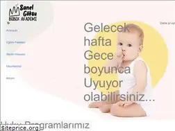 Sites similar to bebekakademi.com