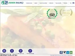 Sites similar to bebekbalikci.com