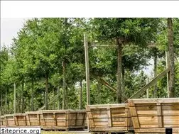 Sites similar to beckertreefarm.com