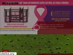Sites similar to beckhauser.com.br