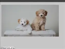 Sites similar to beckkennel.com