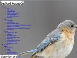 Sites similar to bedfordaudubon.org