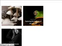 Sites similar to bedfordblog.com