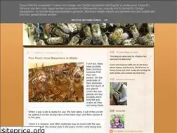 Sites similar to bee-magic.blogspot.com