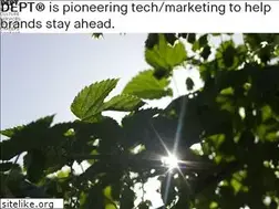 Sites similar to bee.io