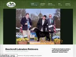 Sites similar to beechcroftlabradors.com