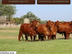 Sites similar to beefmasters.org