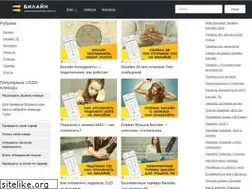 Sites similar to beelineexpert.ru