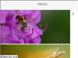 Sites similar to beemission.com