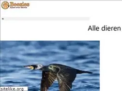 Sites similar to beesies.nl