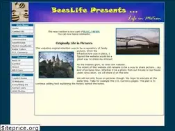 Sites similar to beeslife.com