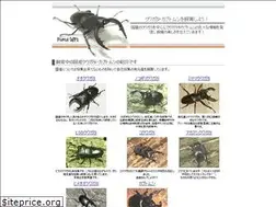 Sites similar to beetle-breeding.com
