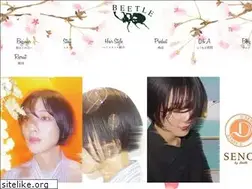 Sites similar to beetle-hair.com