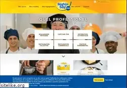 Sites similar to beghin-say-pro.com