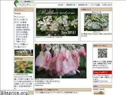 Sites similar to begonia-net.com