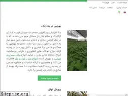 Sites similar to behchin.co
