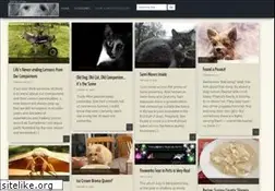 Sites similar to beingstray.com