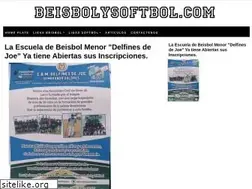 Sites similar to beisbolysoftbol.com