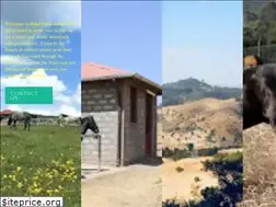 Sites similar to bekaferdaranch.com