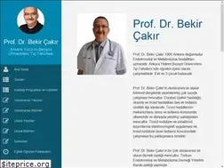 Sites similar to bekircakir.com