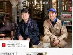 Sites similar to beko.co.jp