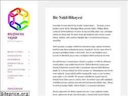 Sites similar to belcikadayasam.net