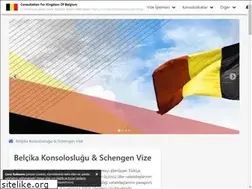 Sites similar to belcikakonsoloslugu.com