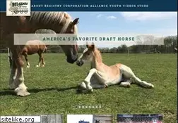 Sites similar to belgiancorp.com