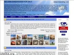 Sites similar to belgiansheepdog.com