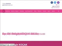 Sites similar to belginkocak.com