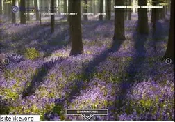 Sites similar to belgium-ex.com