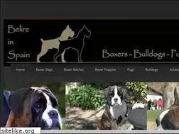Sites similar to belire.com