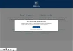 Sites similar to belisol.be