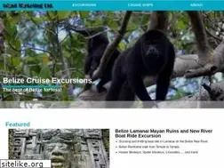 Sites similar to belizecruiseexcursions.com