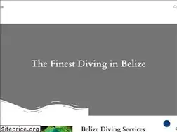 Sites similar to belizedivingservices.com